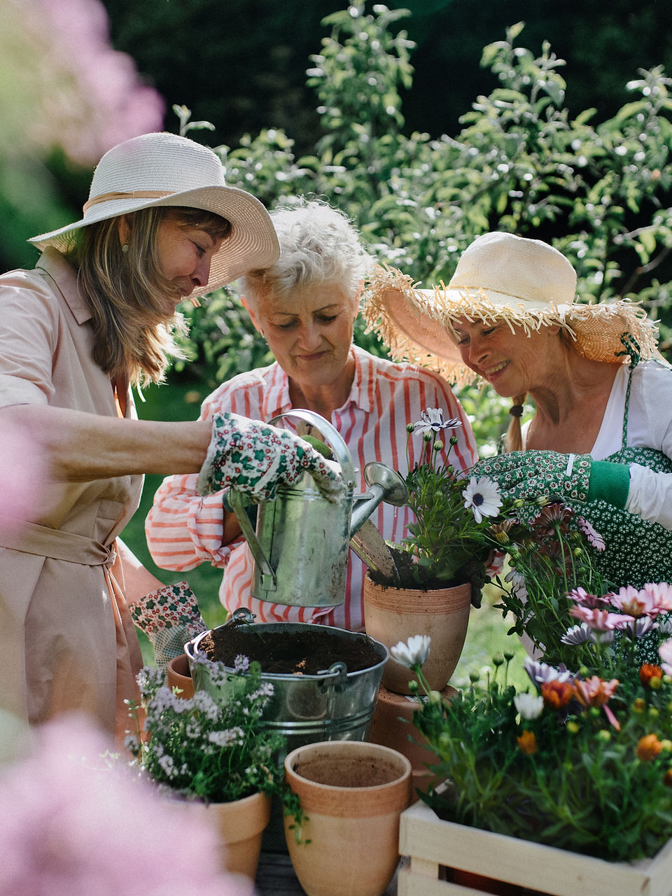 Surve Wellness three woman in the garden watering the plants