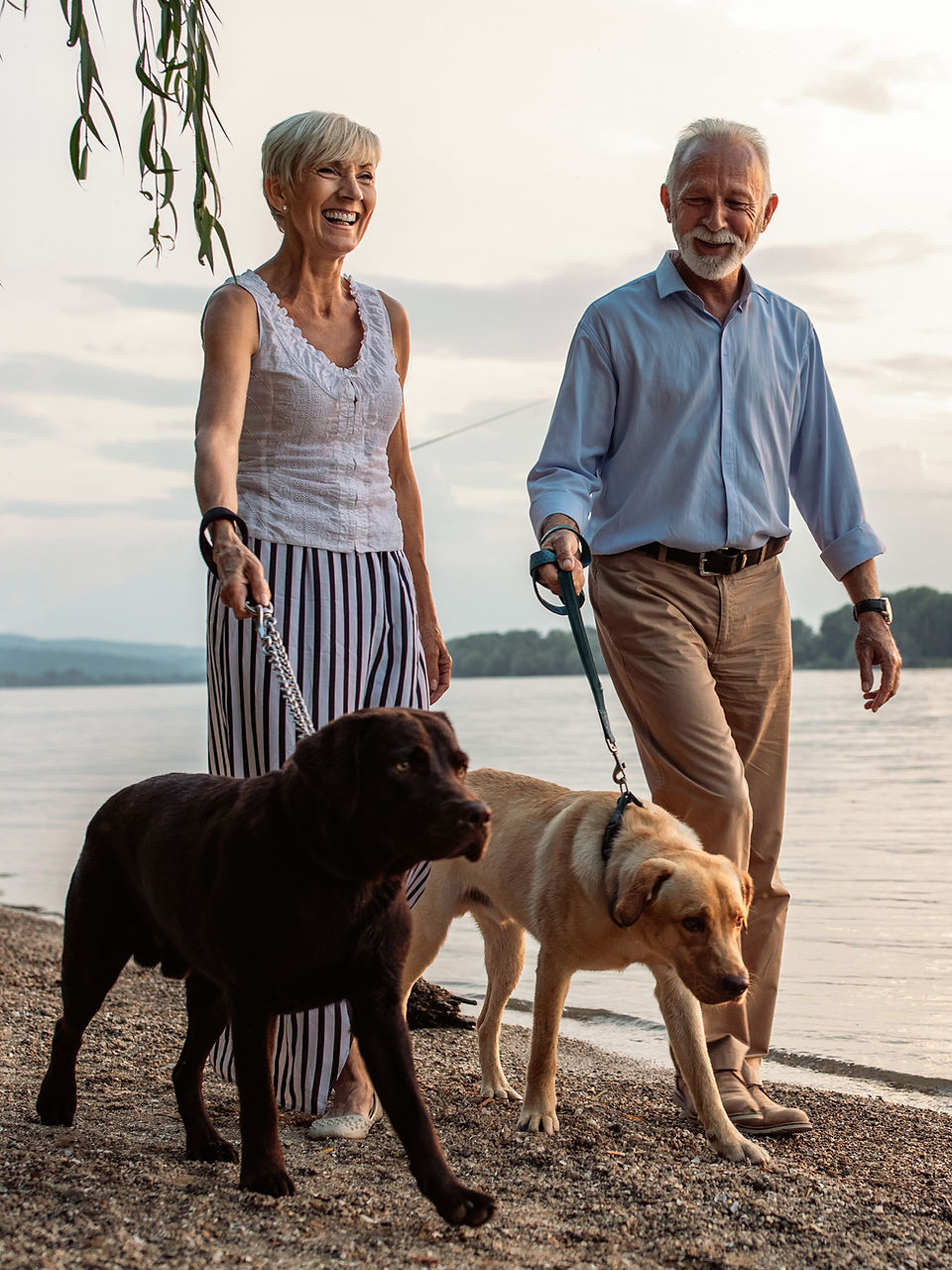 Surve Wellness a couple walking their dogs on the beach